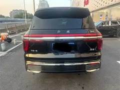 2022 Hongqi Guoyao 4.0T Premium Flagship 4 seats, чёрный — фото 7