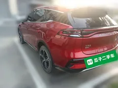 2021 BYD Tang DM-i PHEV 112km Premium — фото 4
