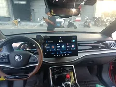 2021 BYD Tang DM-i PHEV 112km Premium — фото 10