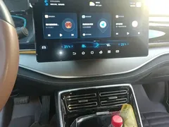 2021 BYD Tang DM-i PHEV 112km Premium — фото 14