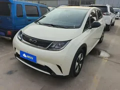 2025 BYD Dolphin 420km Fashion — фото 1