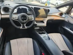2025 BYD Dolphin 420km Fashion — фото 12