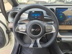 2025 BYD Dolphin 420km Fashion — фото 15