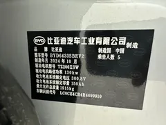 2024 BYD Yuan UP 401km Leading — фото 30
