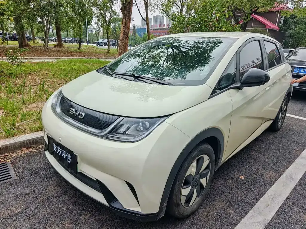 2024 BYD Dolphin Glory 420km Freedom