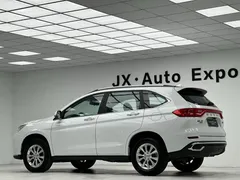 2023 Haval M6 Plus 1.5T MT Luxury, белый — фото 23