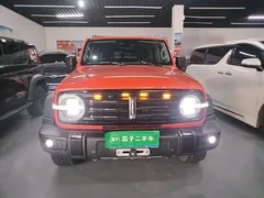 2021 Tank 300 Off-road 2.0T Conqueror — фото 3