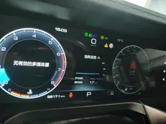 2021 Tank 300 Off-road 2.0T Conqueror — фото 12
