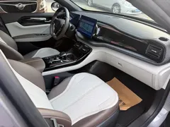2024 BYD Qin PLUS Honor DM-i PHEV 55km Leading — фото 9