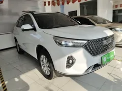 2023 Haval M6 Plus 1.5T MT Luxury, белый — фото 4