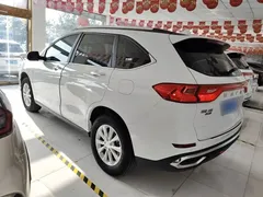 2023 Haval M6 Plus 1.5T MT Luxury, белый — фото 5
