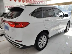 2023 Haval M6 Plus 1.5T MT Luxury, белый — фото 7