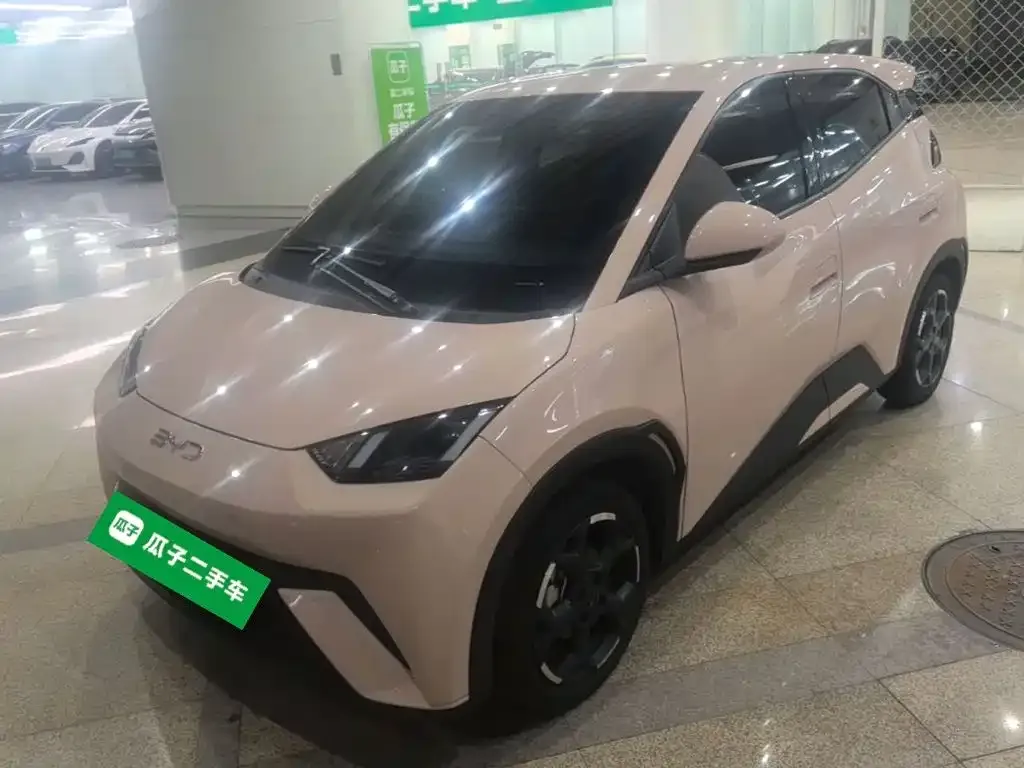2024 BYD Seagull EV 305km Honor Freedom