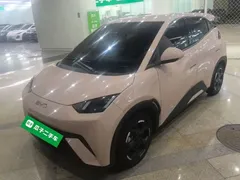 2024 BYD Seagull EV 305km Honor Freedom — фото 1