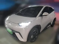 2024 BYD Seagull EV 305km Honor Freedom — фото 2