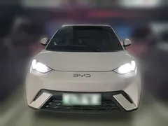 2024 BYD Seagull EV 305km Honor Freedom — фото 3