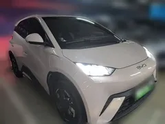 2024 BYD Seagull EV 305km Honor Freedom — фото 4