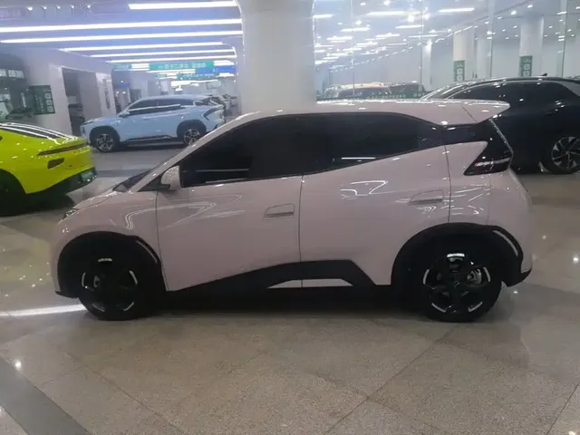 2024 BYD Seagull EV 305km Honor Freedom