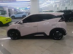 2024 BYD Seagull EV 305km Honor Freedom — фото 5