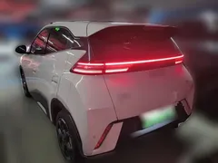 2024 BYD Seagull EV 305km Honor Freedom — фото 6