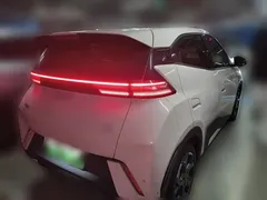 2024 BYD Seagull EV 305km Honor Freedom — фото 8