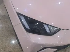 2024 BYD Seagull EV 305km Honor Freedom — фото 9
