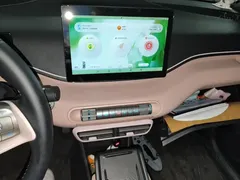 2024 BYD Seagull EV 305km Honor Freedom — фото 16