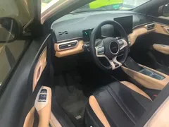 2024 BYD Seagull EV 305km Honor Freedom — фото 19
