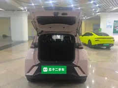 2024 BYD Seagull EV 305km Honor Freedom — фото 22