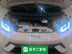 2024 BYD Seagull EV 305km Honor Freedom — фото 23