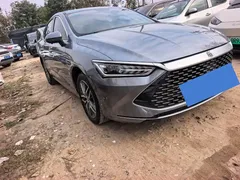 2023 BYD Qin PLUS Champion DM-i PHEV 120km — фото 3
