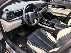 2023 BYD Qin PLUS Champion DM-i PHEV 120km — фото 4