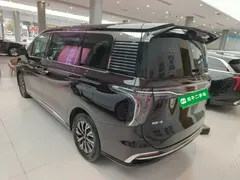 2024 Hongqi HQ9 2.0T 4WD Luxury — фото 5