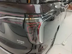 2024 Hongqi HQ9 2.0T 4WD Luxury — фото 8