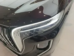 2024 Hongqi HQ9 2.0T 4WD Luxury — фото 24
