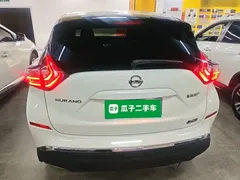 2021 Nissan Murano 2.5L XL 2WD Luxury, белый — фото 6
