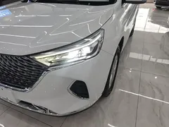 2023 Haval M6 Plus 1.5T DCT Elite, белый — фото 24