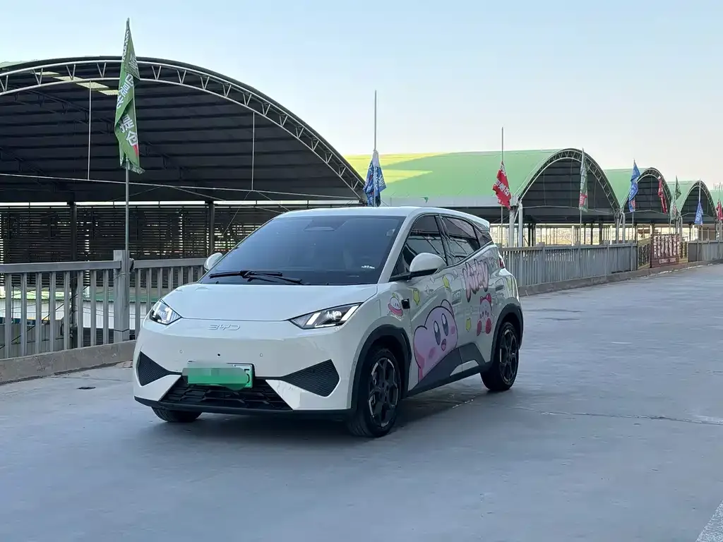 2025 BYD Seagull Smart Driving 305km Freedom