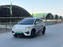 2025 BYD Seagull Smart Driving 305km Freedom — фото 1