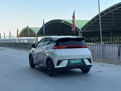 2025 BYD Seagull Smart Driving 305km Freedom — фото 4