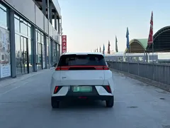 2025 BYD Seagull Smart Driving 305km Freedom — фото 5