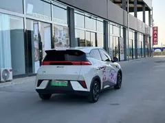 2025 BYD Seagull Smart Driving 305km Freedom — фото 6