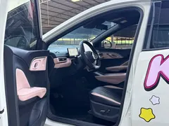 2025 BYD Seagull Smart Driving 305km Freedom — фото 7