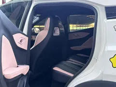 2025 BYD Seagull Smart Driving 305km Freedom — фото 9