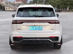 2021 Geely Monjaro 2.0TD DCT EVO 2WD Premium, белый — фото 5