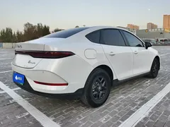 2025 BYD Qin PLUS DM-i PHEV Smart Driving 55km Leading, белый — фото 3