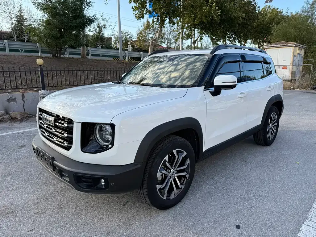 2021 Haval Dargo 1.5T DCT 2WD Malinois
