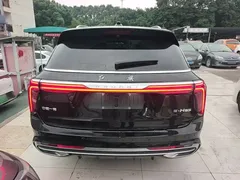 2021 Hongqi E-HS9 EV 510km Qichang 6-seat, чёрный — фото 6