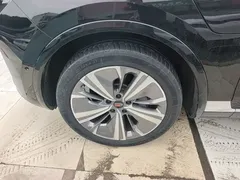 2021 Hongqi E-HS9 EV 510km Qichang 6-seat, чёрный — фото 23