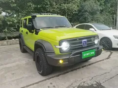 2021 Tank 300 Off-road 2.0T Conqueror — фото 4